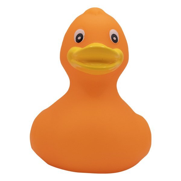 Colorful Rubber Duck