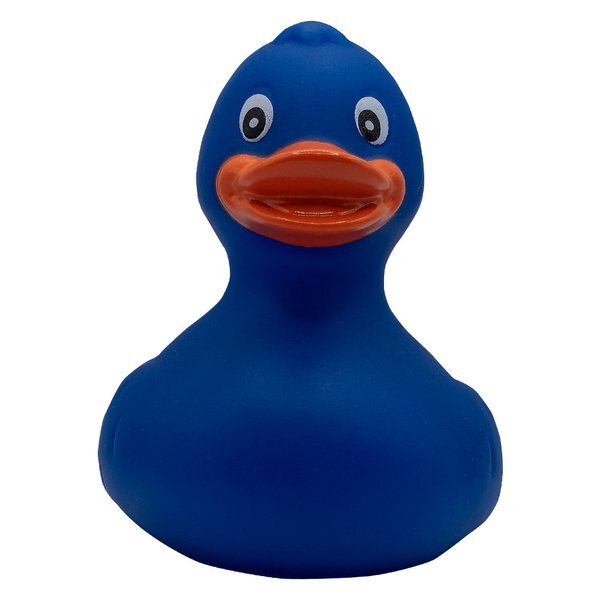 Colorful Rubber Duck