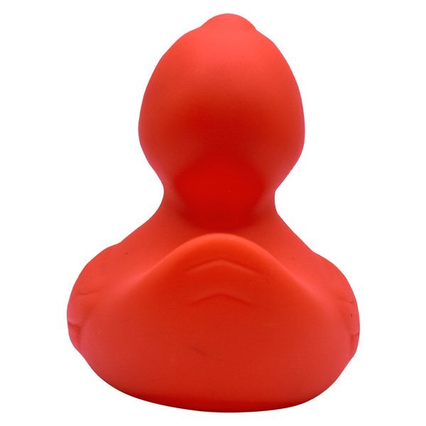 Colorful Rubber Duck