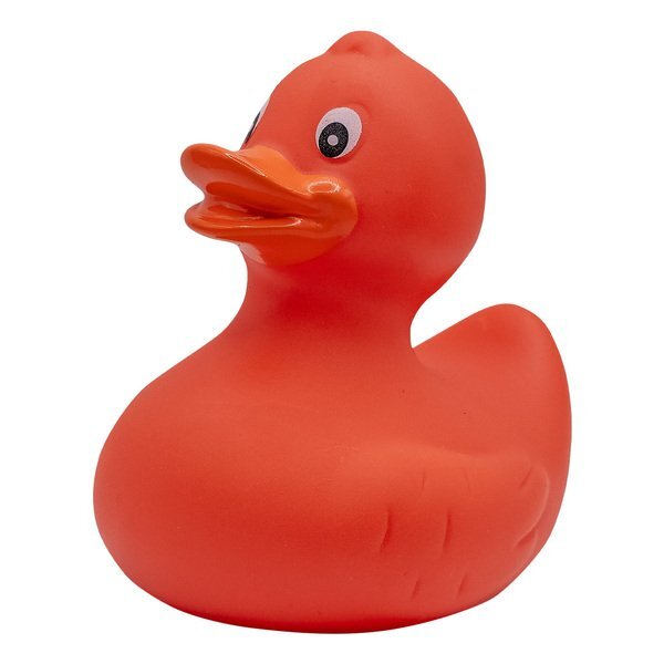 Colorful Rubber Duck