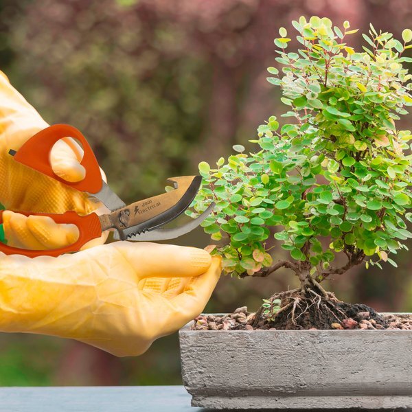 Utility 6-in-1 Scissors