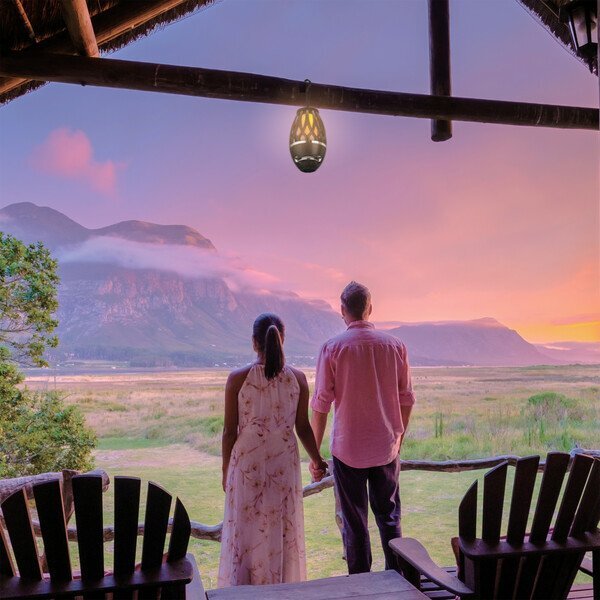 iLive™ Tiki & Bluetooth Speakers Set w/ LED Flame