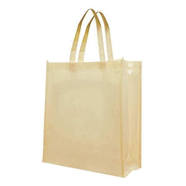 Attractive Colored Non Woven Laminated Tote
