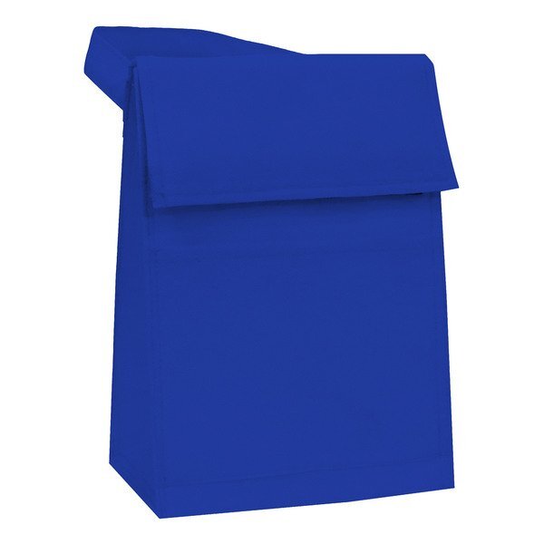 Non Woven Colored Lunch Pack