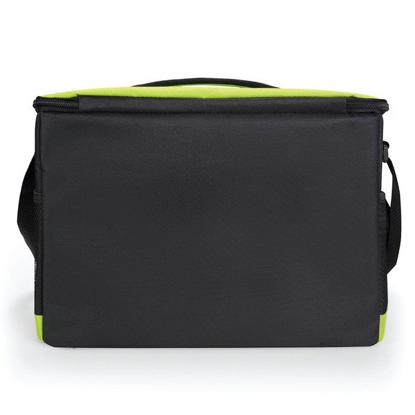 Roosevelt Colored Cooler Bag