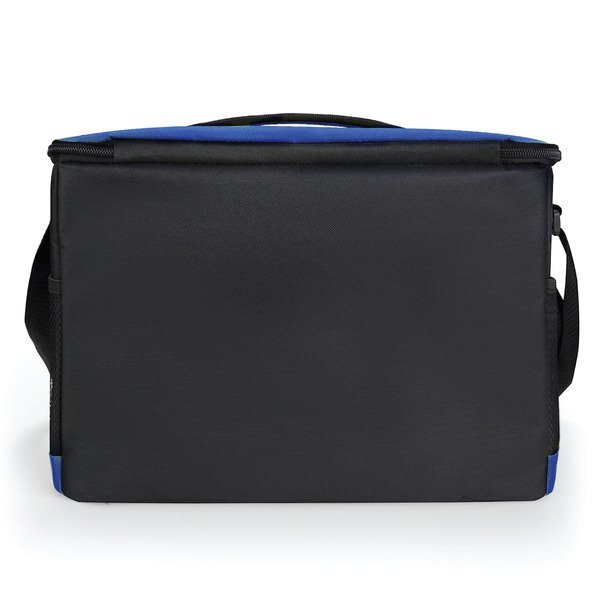 Roosevelt Colored Cooler Bag