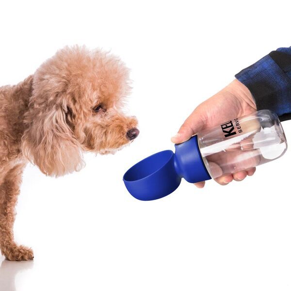 Pet Water Bottle with Bowl, 13 oz.