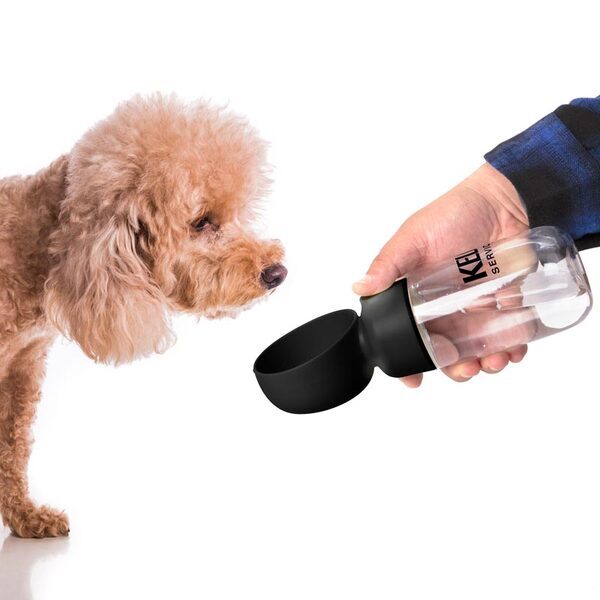 Pet Water Bottle with Bowl, 13 oz.