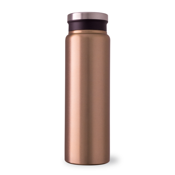 Trend Setter Metallic Stainless Steel Bottle, 20oz.