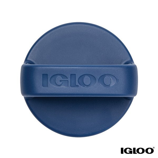 Igloo® Stainless Steel Vacuum Insulated Bottle, 24oz.