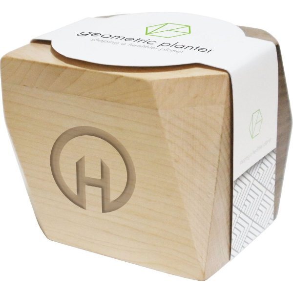 Geometric Maple & Walnut Wooden Planter Kit