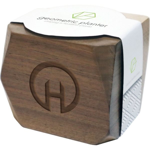 Geometric Maple & Walnut Wooden Planter Kit