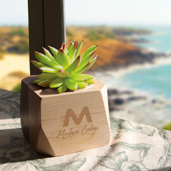 Geometric Maple & Walnut Wooden Planter Kit w/ Succulent