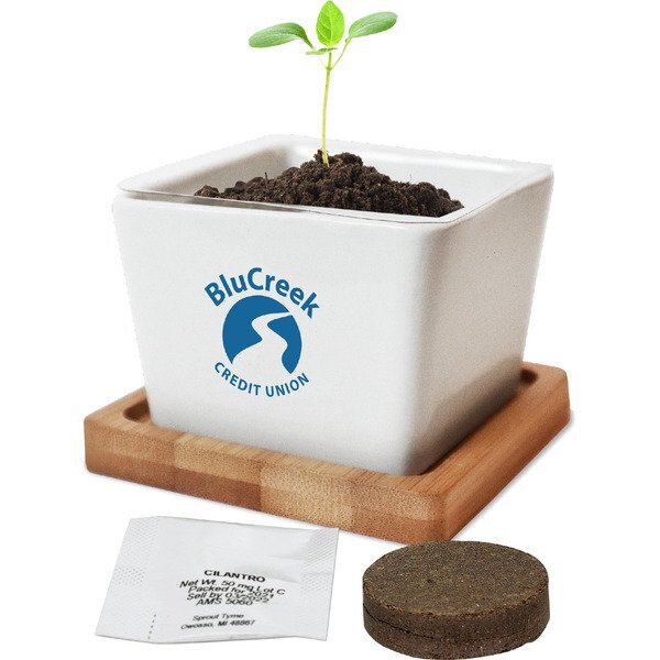 Ceramic Two-Piece Planter Kit