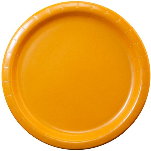 Round Paper Plate, 9"