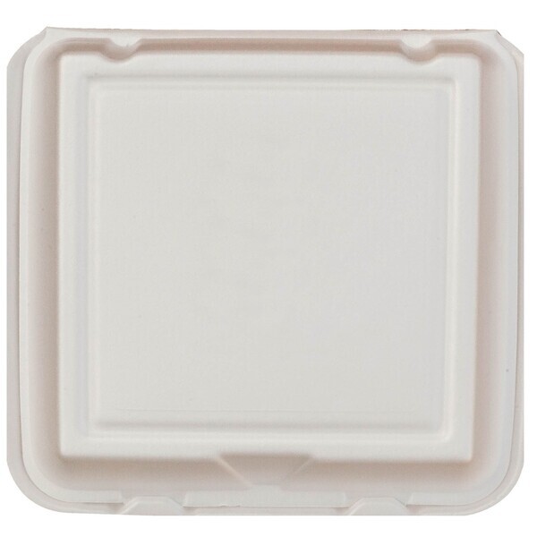 Foam Hinged Take Out Container