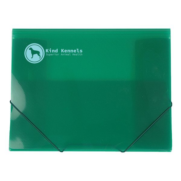 Action Case Envelope