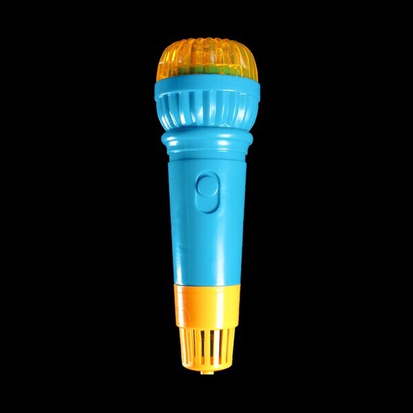Echo Toy Microphone