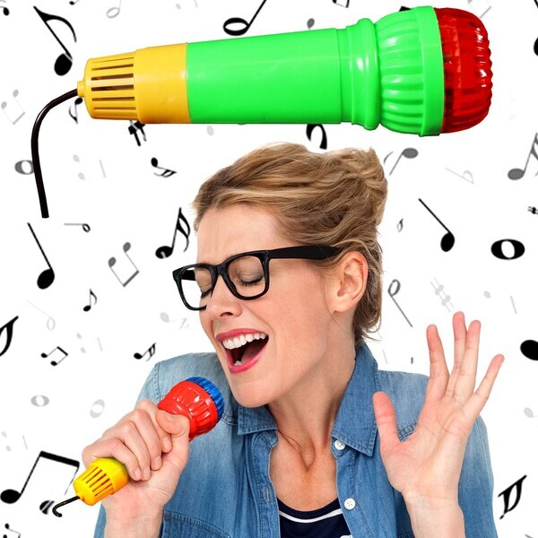 Echo Toy Microphone