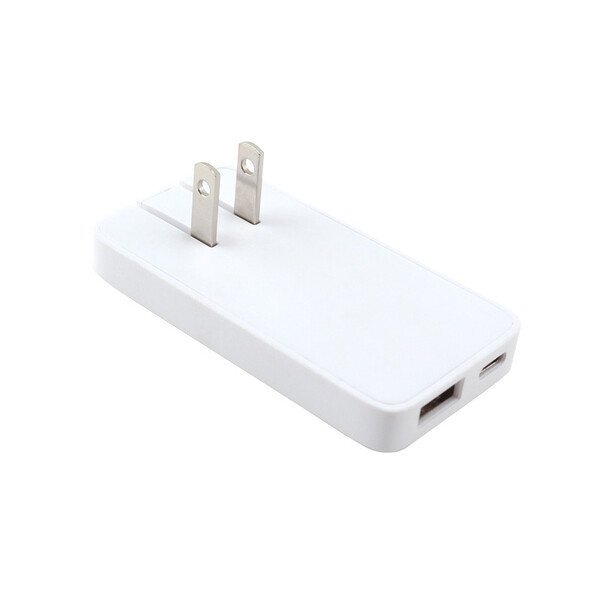 USB-C and USB-A AC Adapter