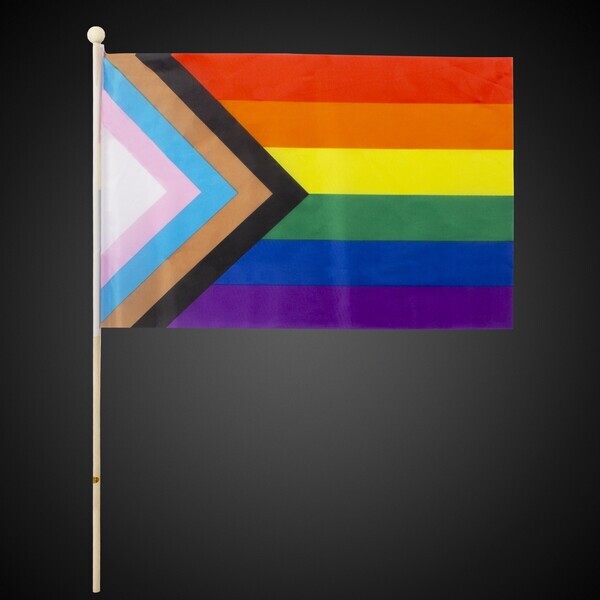Progress Pride Rainbow Flag, 12" x 18"