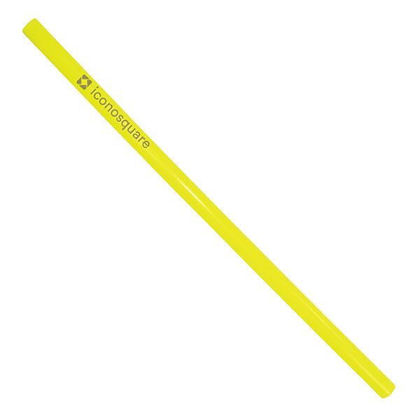 Reusable Standard Straw Twelve-Pack