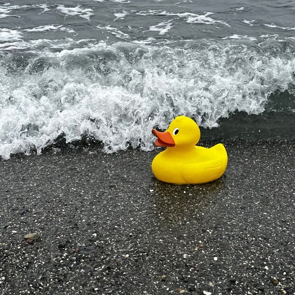 Jumbo Rubber Duck