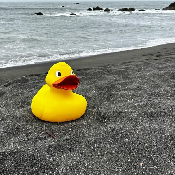 Jumbo Rubber Duck