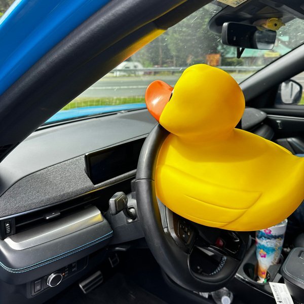Jumbo Rubber Duck