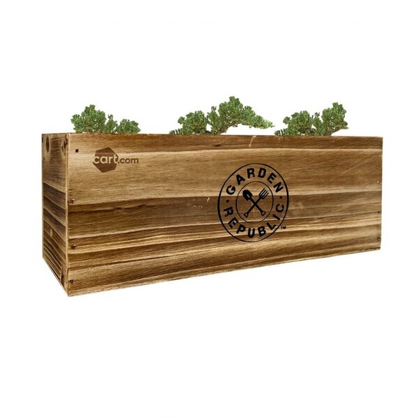 Garden Republic™ Bonsai Tree Starter Kit