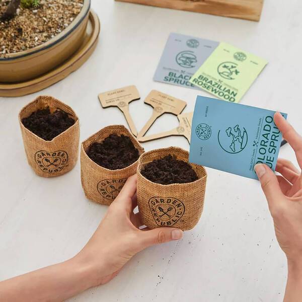 Garden Republic™ Bonsai Tree Starter Kit