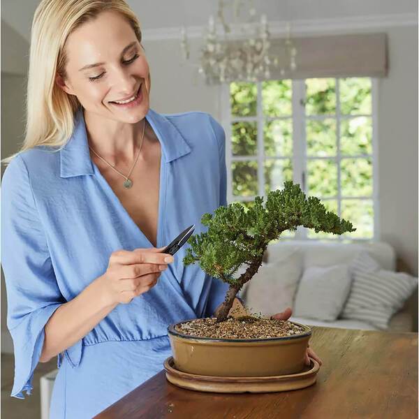 Garden Republic™ Bonsai Tree Starter Kit