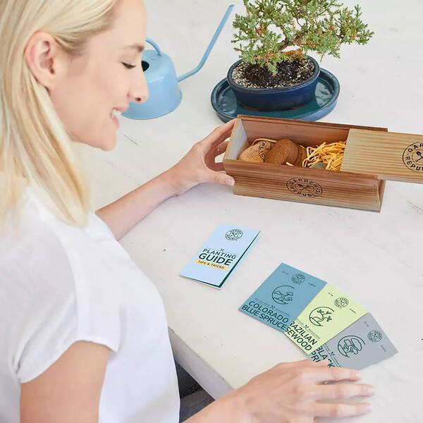 Garden Republic™ Bonsai Tree Starter Kit