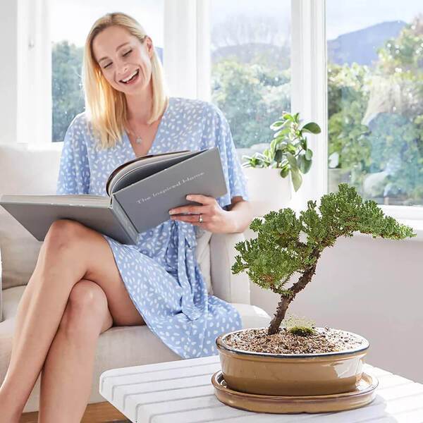 Garden Republic™ Bonsai Tree Starter Kit