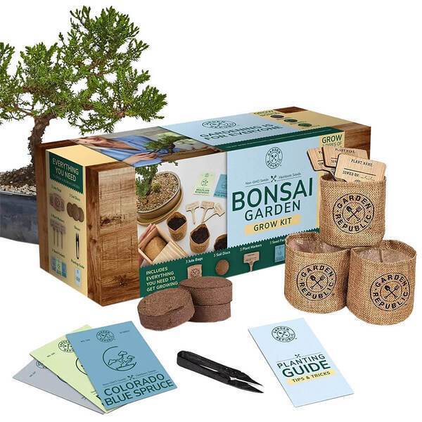 Garden Republic™ Bonsai Tree Starter Kit