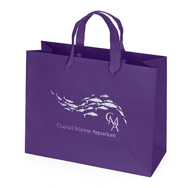 Matte Finish Euro Tote Gift Bag, 10" x 8"