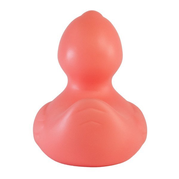 Colorful Rubber Duck