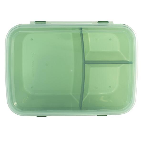 Translucent Lunch Container