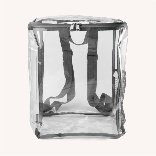 Clear Zipped Backpack