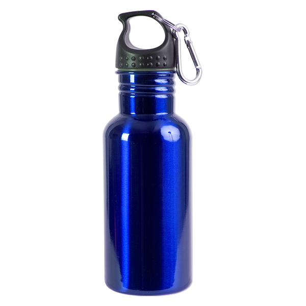 Stainless Steel Adventure Water Bottle With Carabiner, 17 oz.