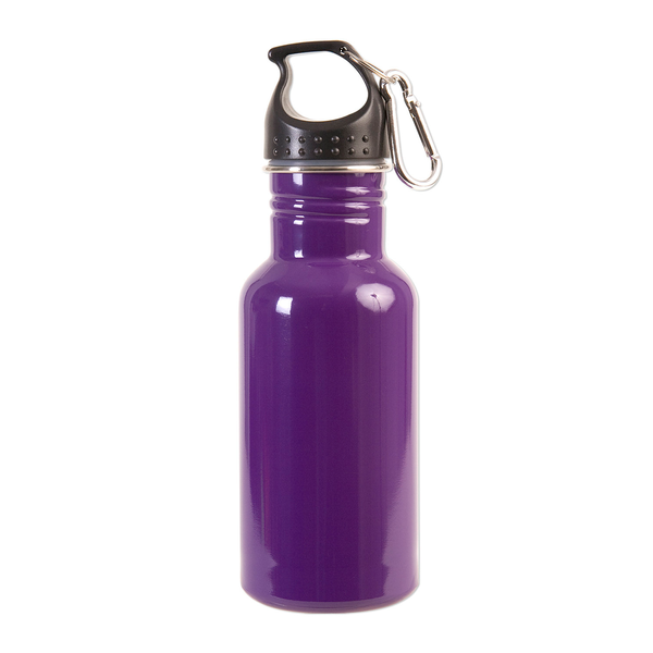 Stainless Steel Adventure Water Bottle With Carabiner, 17 oz.