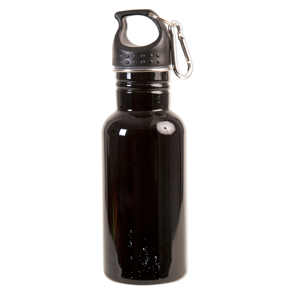 Stainless Steel Adventure Water Bottle With Carabiner, 17 oz.
