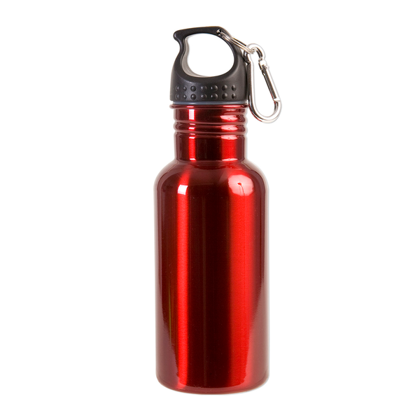 Stainless Steel Adventure Water Bottle With Carabiner, 17 oz.