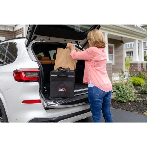 Structure Non-Woven Cargo Organizer w/ Cooler