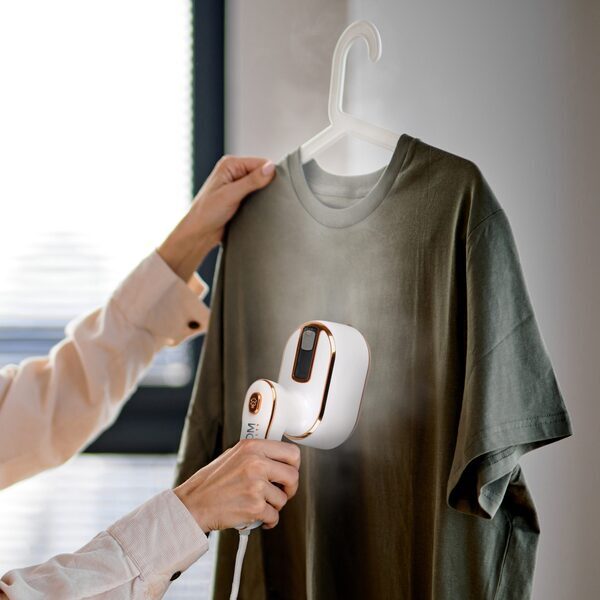 Travel Steamer & Iron