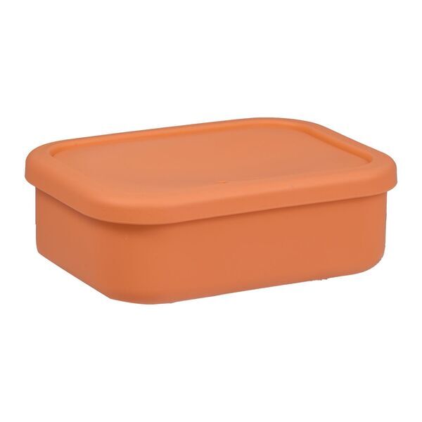 Silicone Food Storage Box w/ Air Valve, 24oz.
