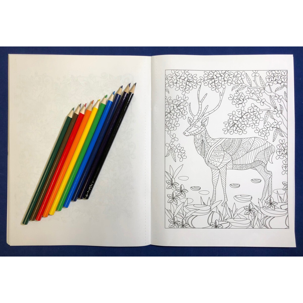 Nature Stress Relief Adult Coloring Book w/ Colored Pencils Relax Pack Set