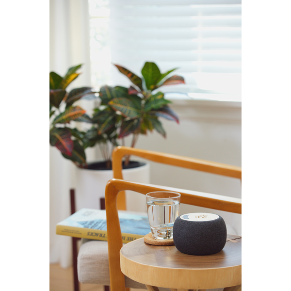 Empire Bamboo Wireless Speaker with 5W Wireless Charger