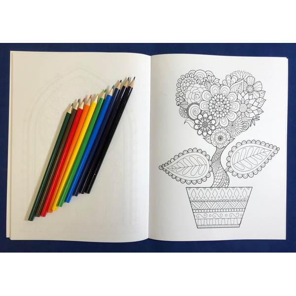 Brighter Minds Stress Relief Adult Coloring & Large Print Puzzle Book Combo w/ Colored Pencils Relax Pack Set