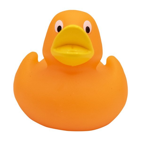 Lil' Rubber Duck